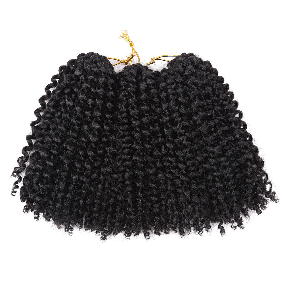 Crochet-Style Wig with Hair Extensions
